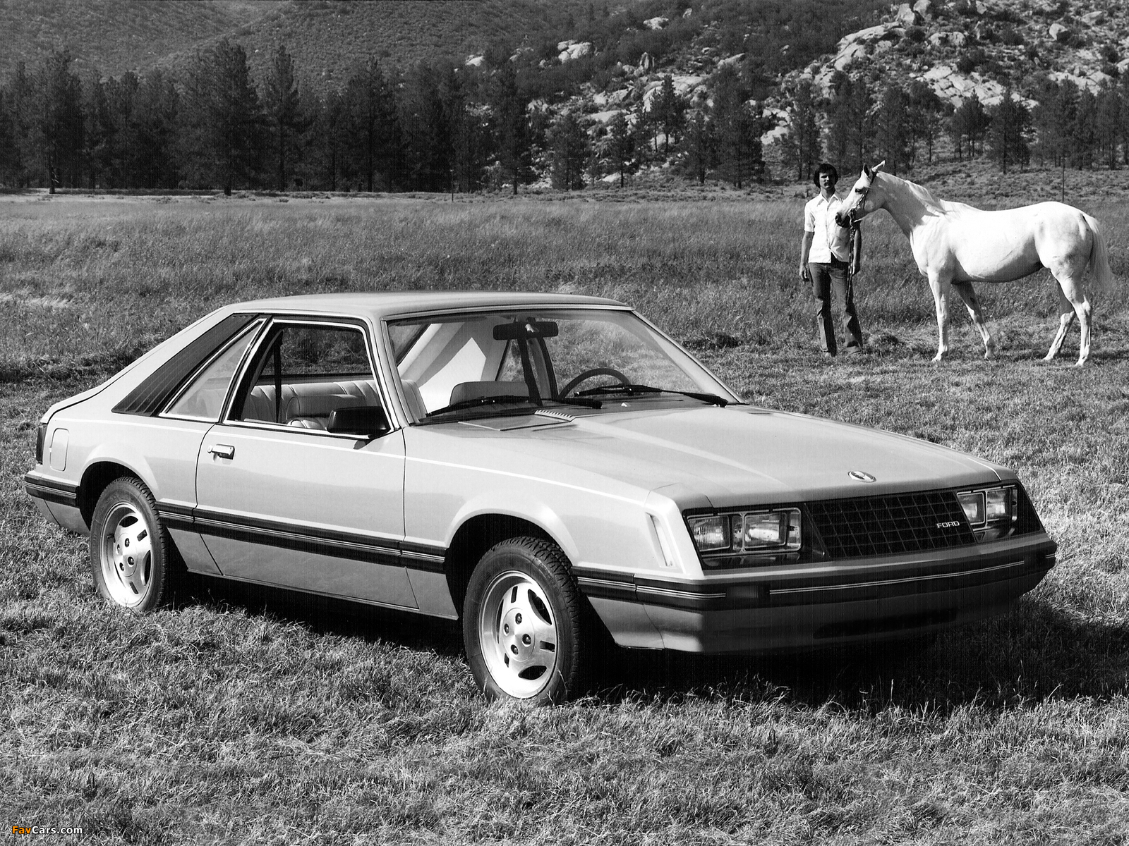 Photos of Mustang Sport 1979 (1600 x 1200)
