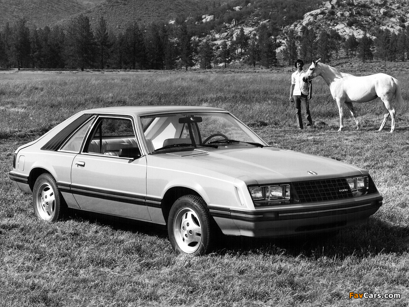 Photos of Mustang Sport 1979 (800 x 600)