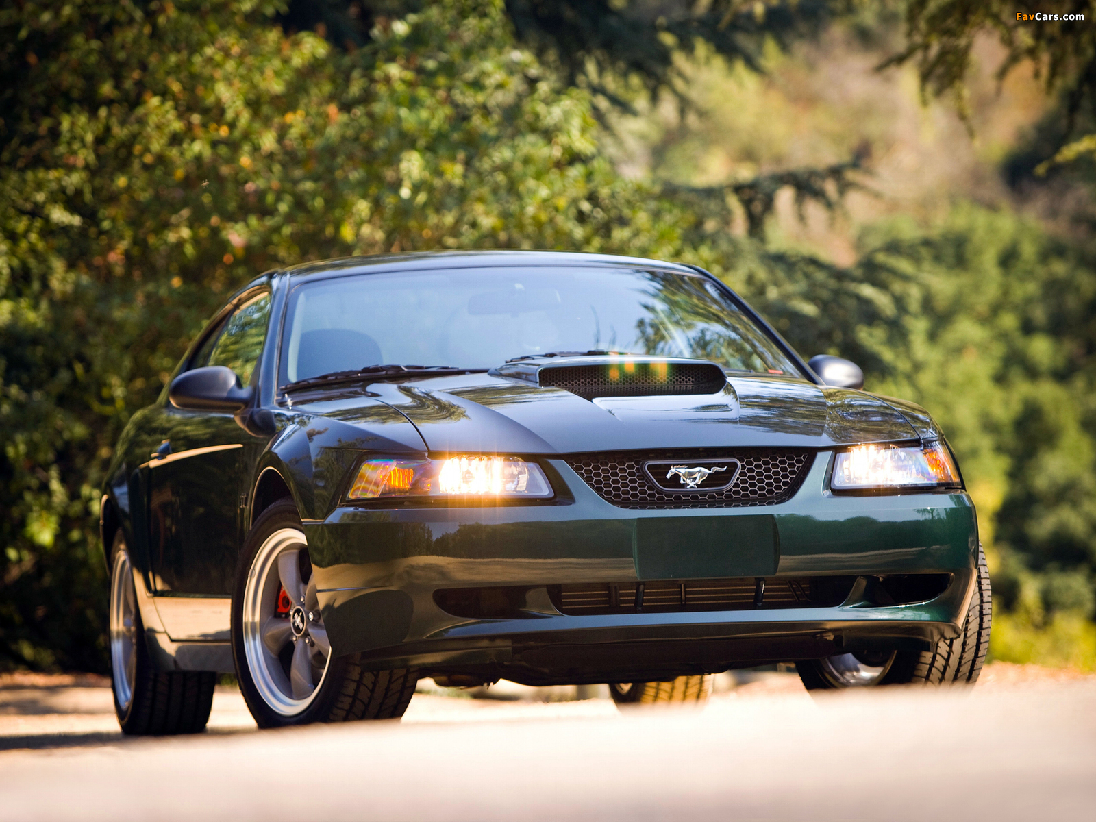 Photos of Mustang Bullitt GT 2001 (1600 x 1200)