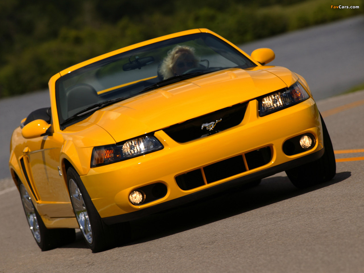 Photos of Mustang SVT Cobra Convertible 2004–05 (1280 x 960)