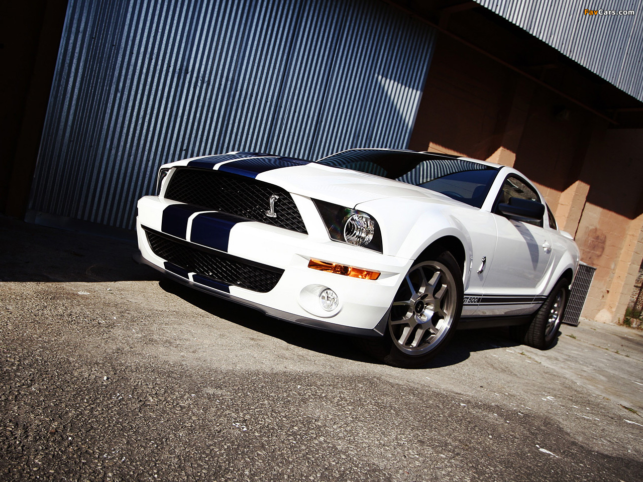 Photos of Shelby GT500 2005–08 (1280 x 960)