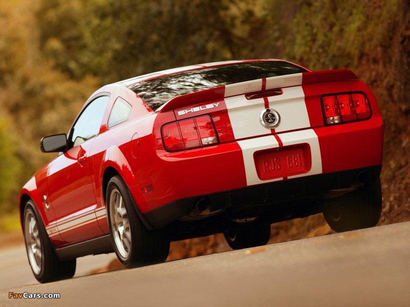 Photos of Shelby GT500 2005–08 (800 x 600)