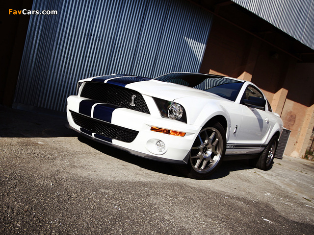 Photos of Shelby GT500 2005–08 (640 x 480)