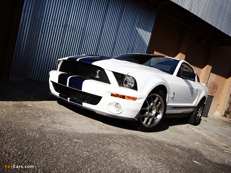 Photos of Shelby GT500 2005–08 (800 x 600)