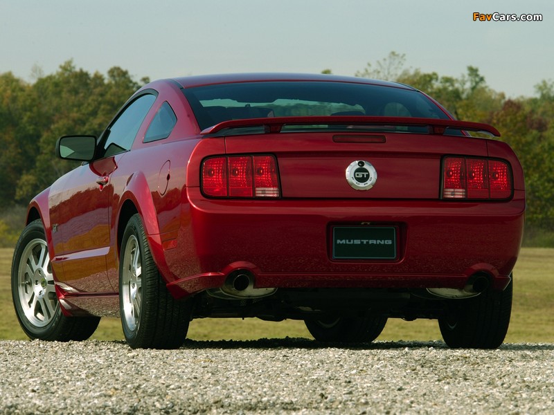 Photos of Mustang GT 2005–08 (800 x 600)