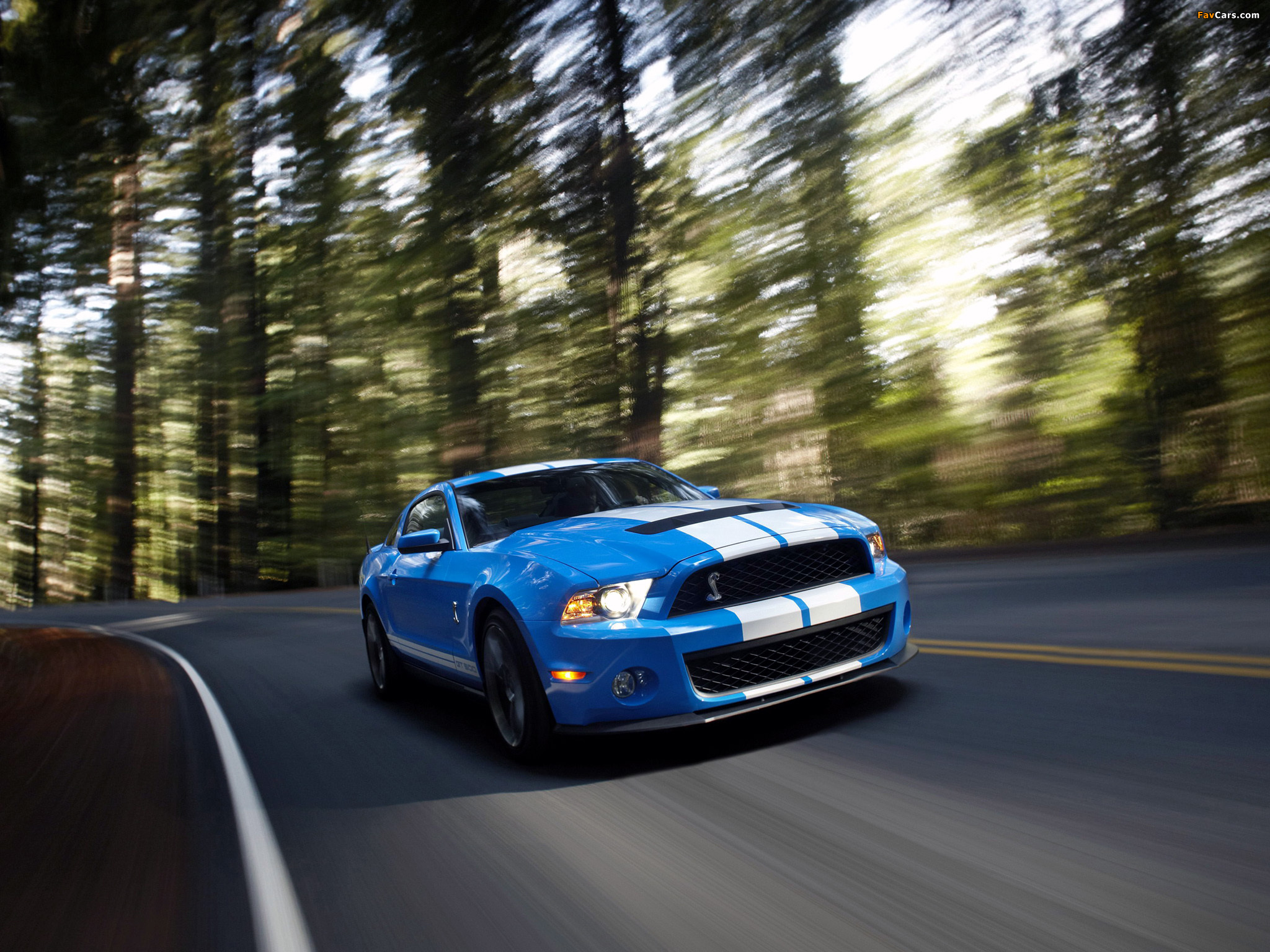 Photos of Shelby GT500 2009–10 (2048 x 1536)