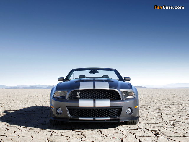 Photos of Shelby GT500 Convertible SVT 2009–10 (640 x 480)