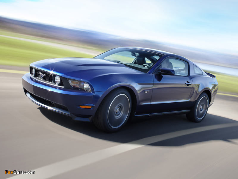 Photos of Mustang GT 2009–10 (800 x 600)