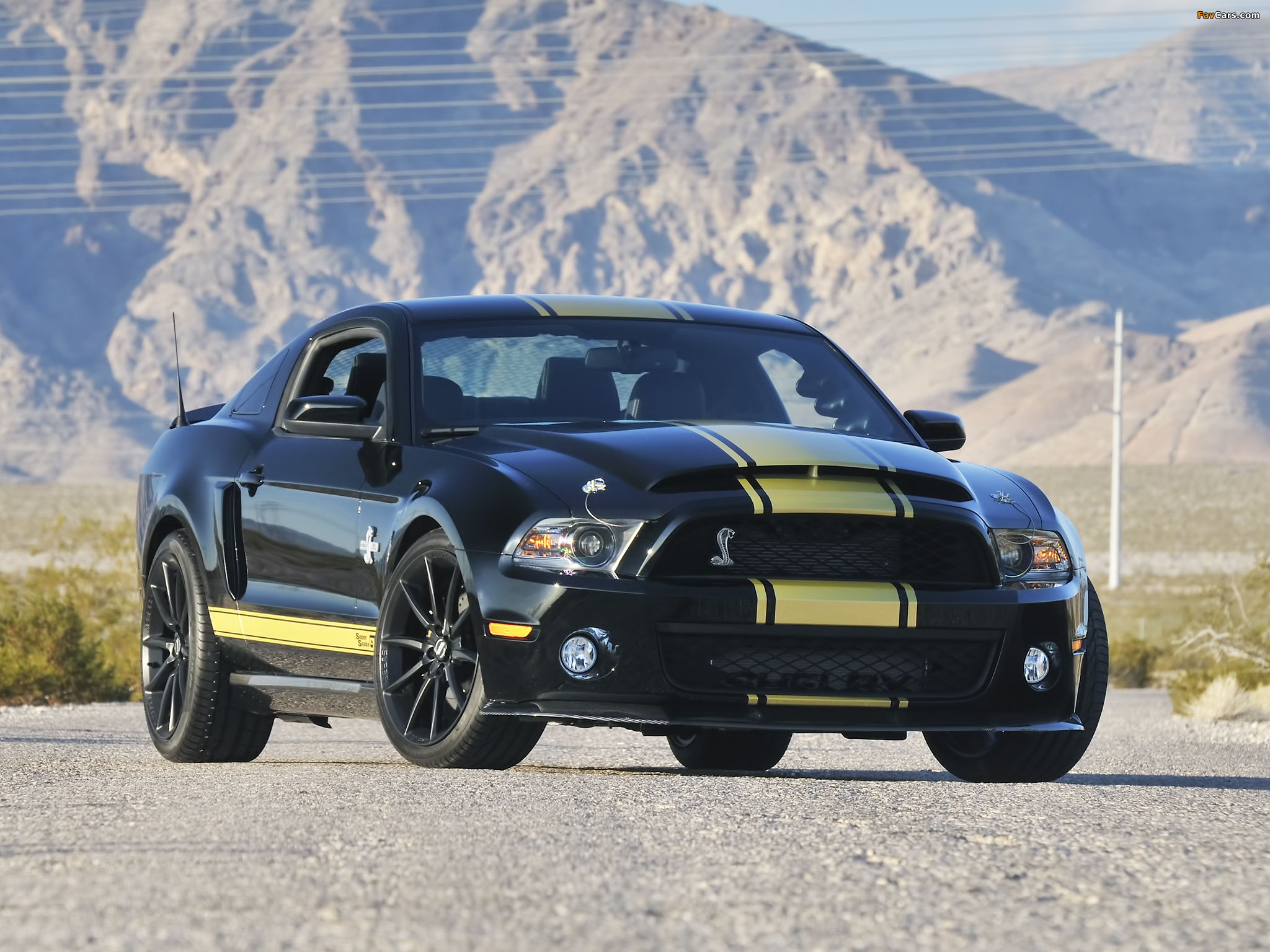 Photos of Shelby GT500 Super Snake 50th Anniversary 2012 (2048 x 1536)