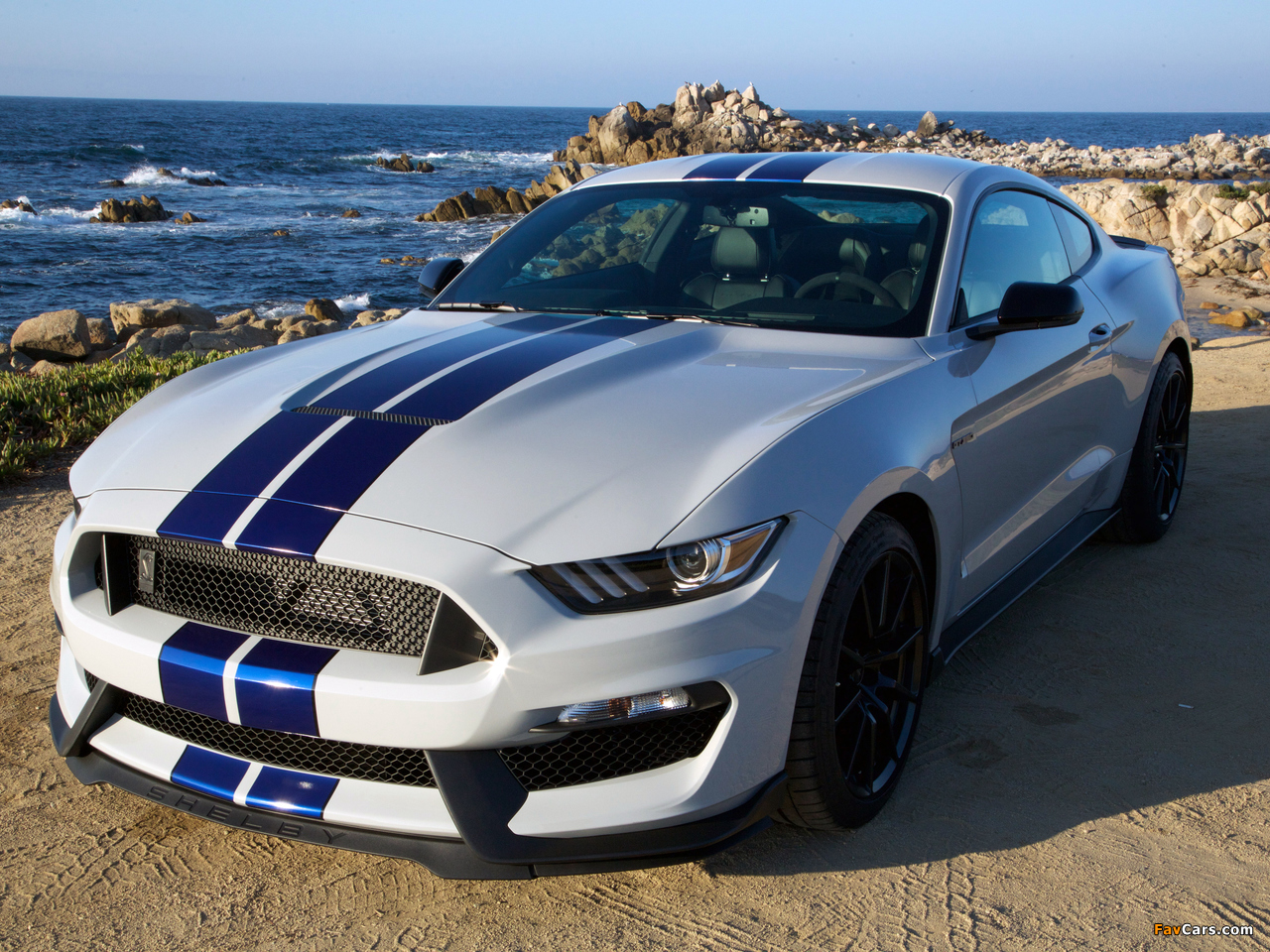Photos of Shelby GT350 Mustang 2015 (1280 x 960)