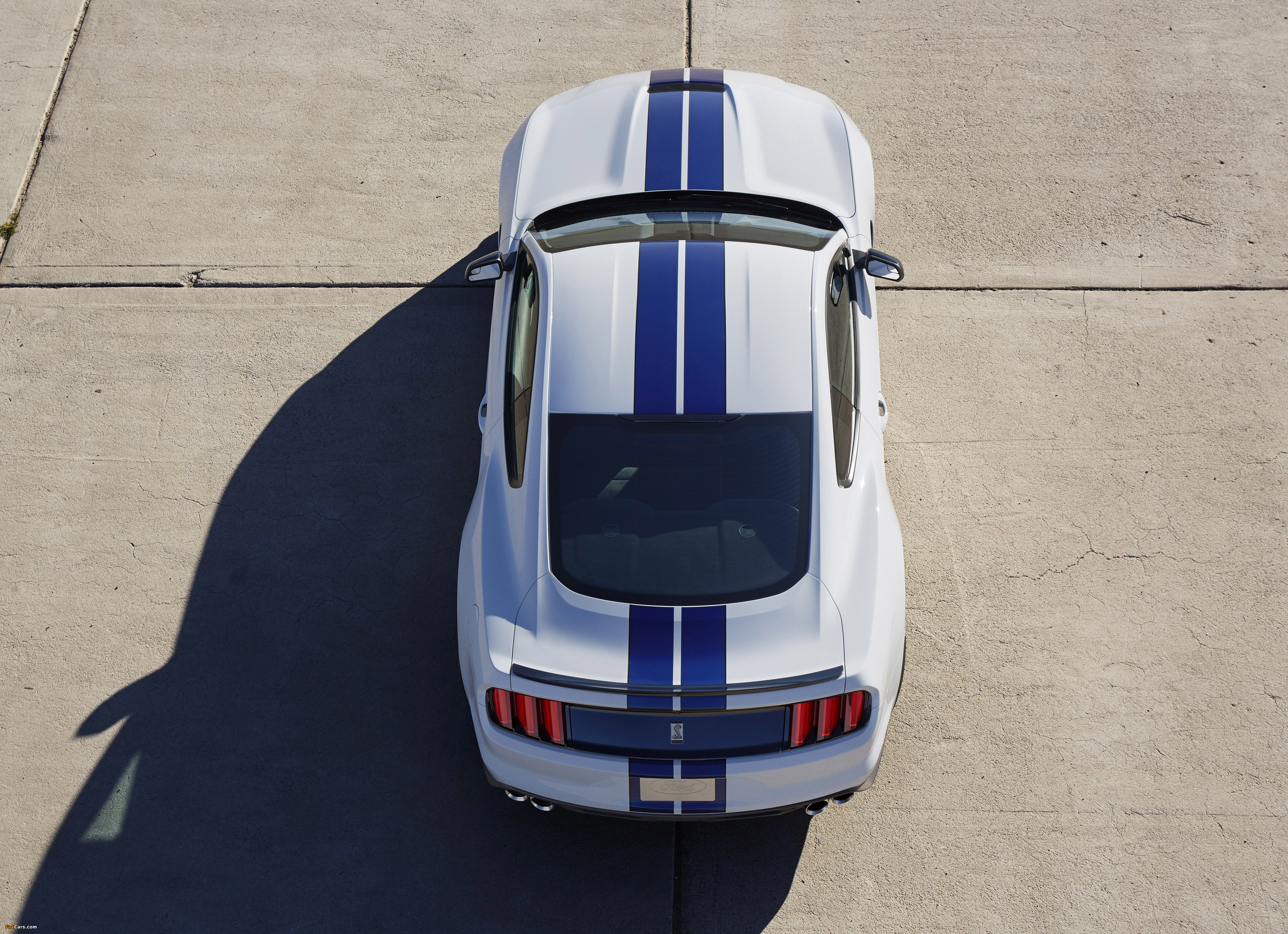 Photos of Shelby GT350 Mustang 2015 (4096 x 2972)