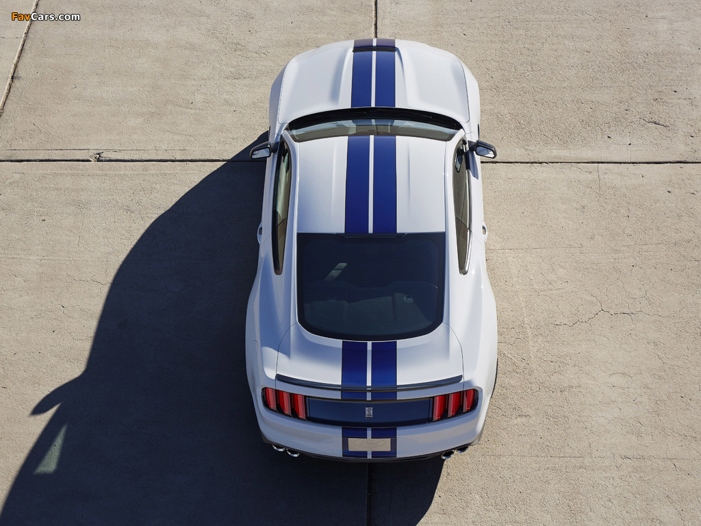 Photos of Shelby GT350 Mustang 2015 (1024 x 768)