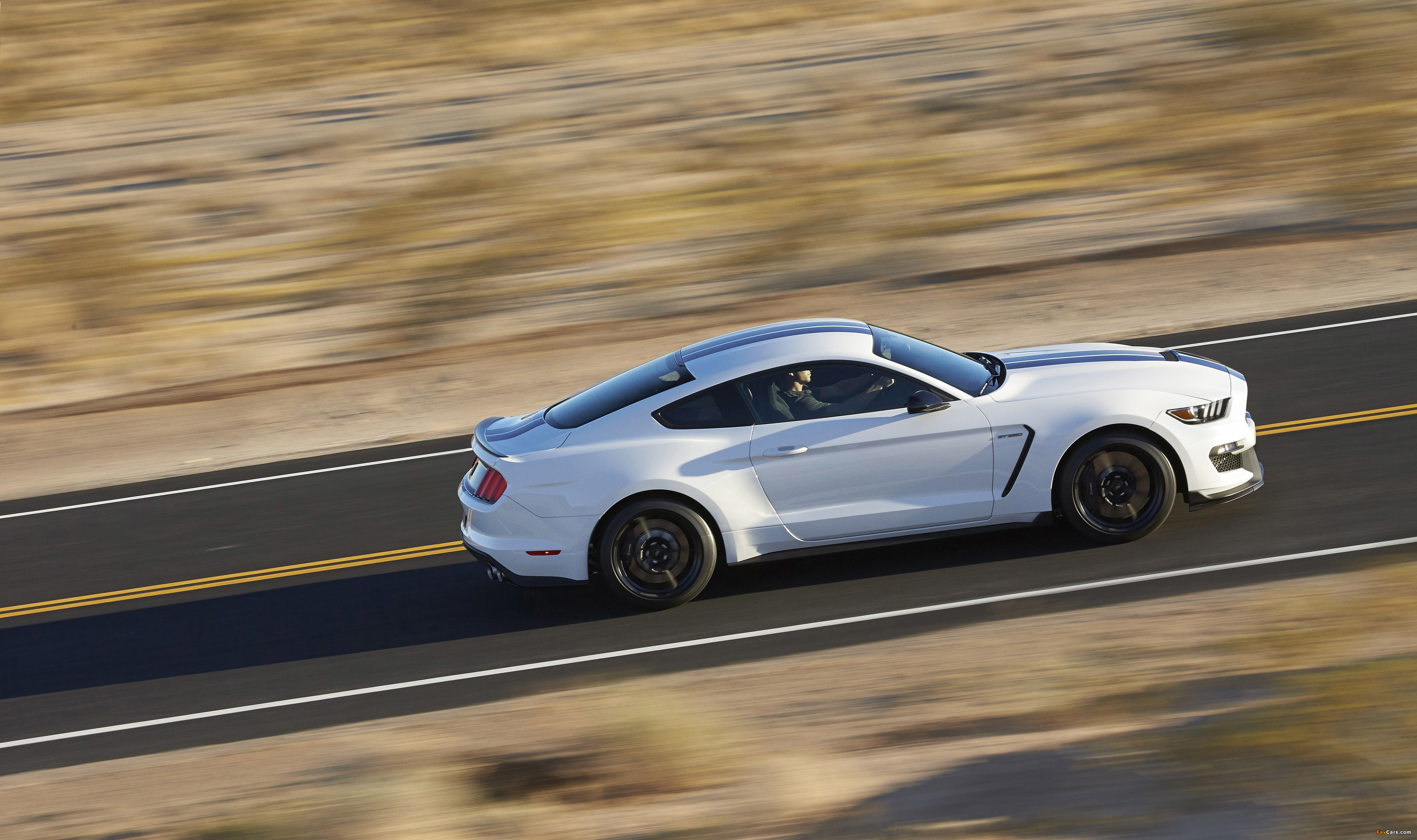 Photos of Shelby GT350 Mustang 2015 (4096 x 2429)