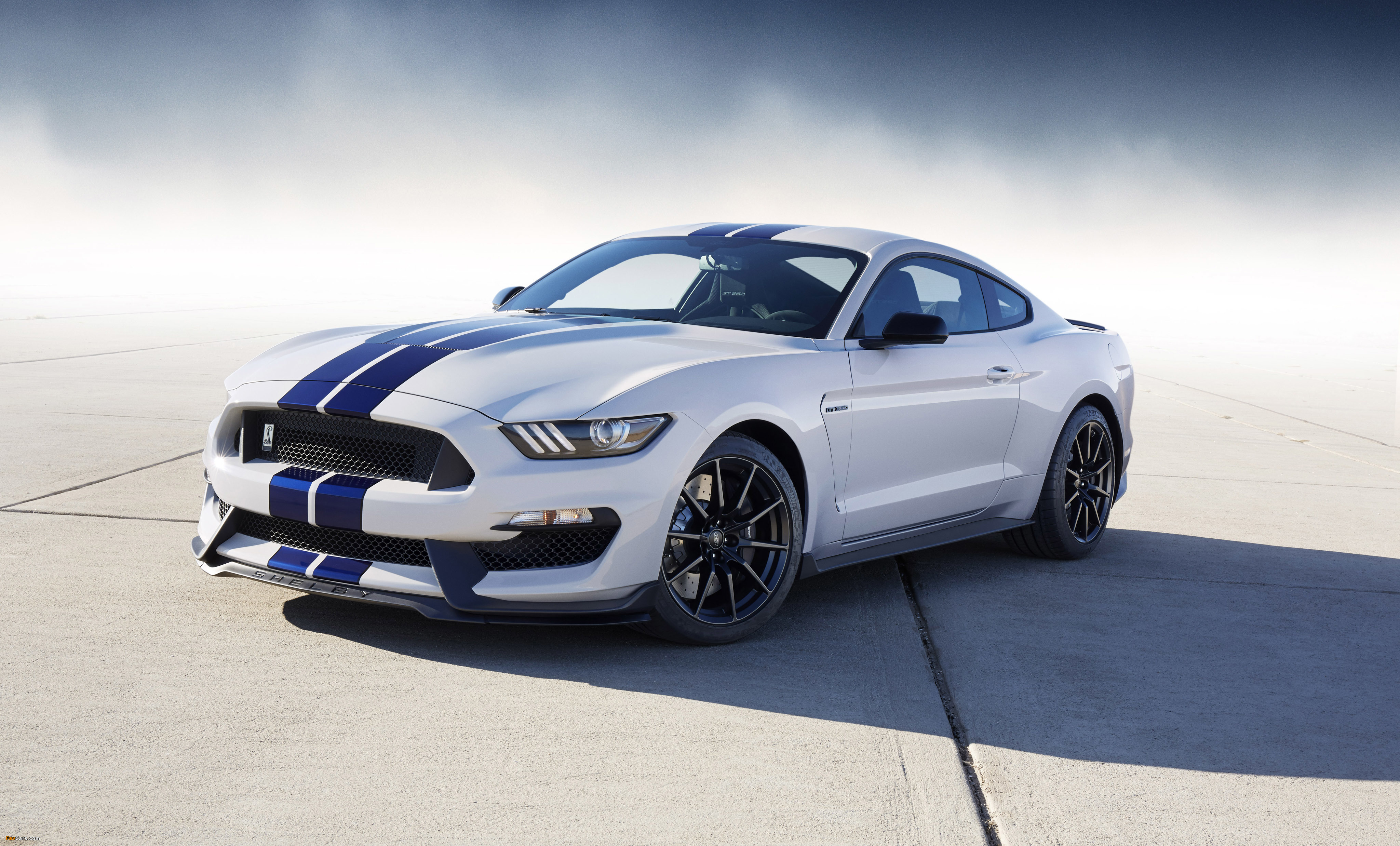 Photos of Shelby GT350 Mustang 2015 (4096 x 2475)