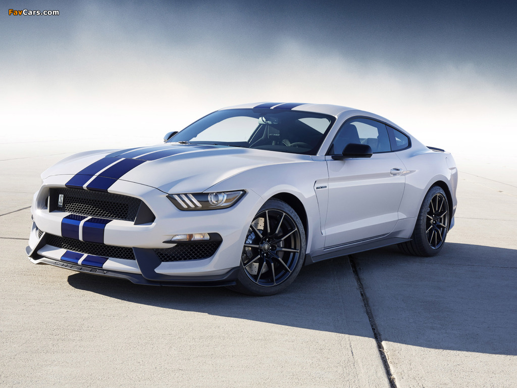 Photos of Shelby GT350 Mustang 2015 (1024 x 768)