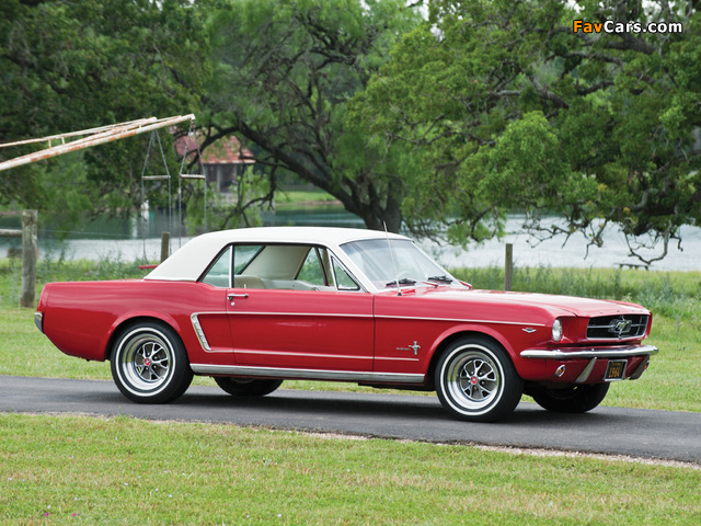 Pictures of Mustang 260 Coupe 1964 (640 x 480)