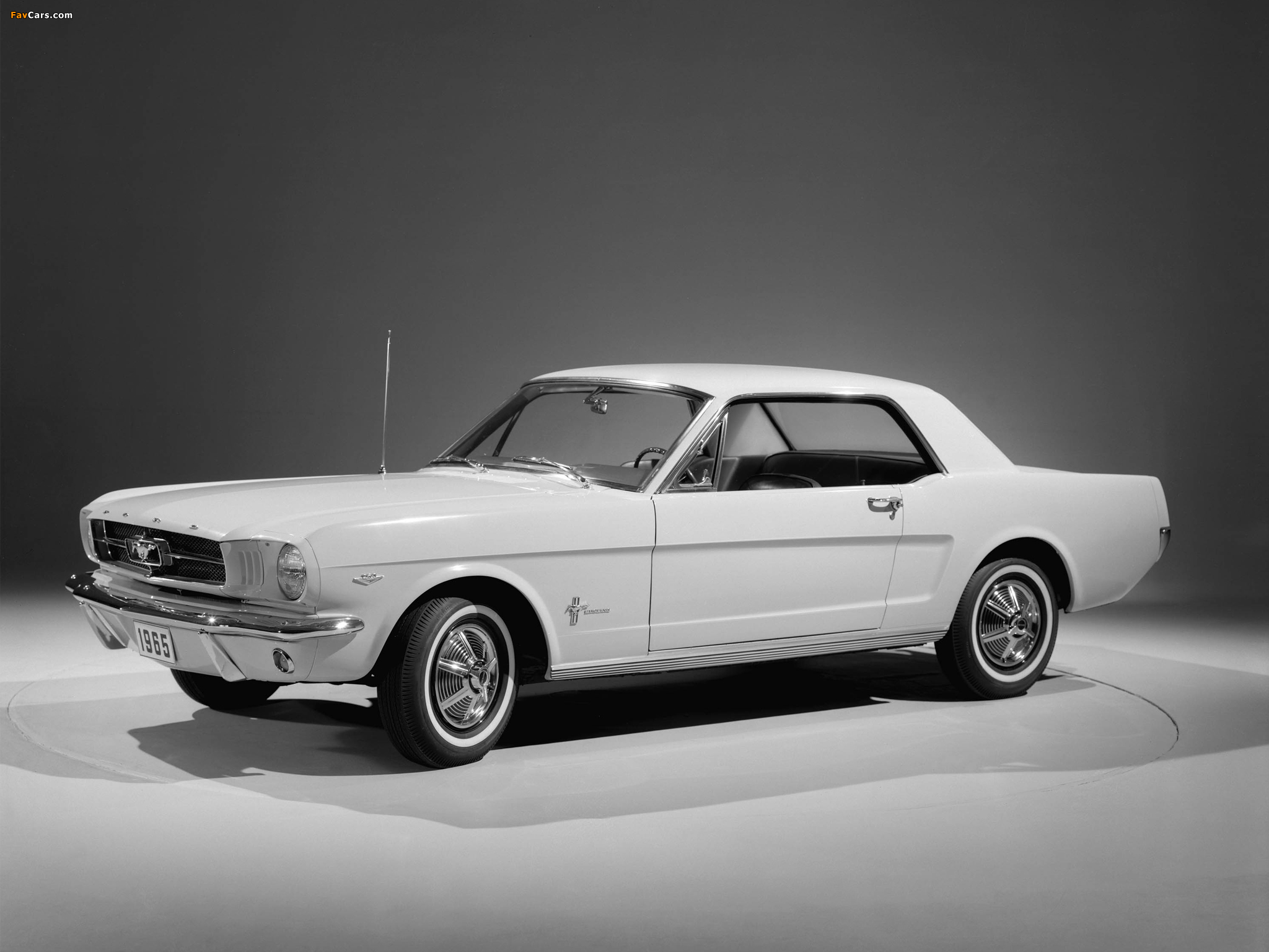 Pictures of Mustang Coupe 1965 (2048 x 1536)