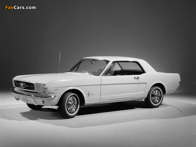 Pictures of Mustang Coupe 1965 (640 x 480)