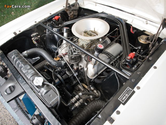 Pictures of Shelby GT350R 1965 (640 x 480)