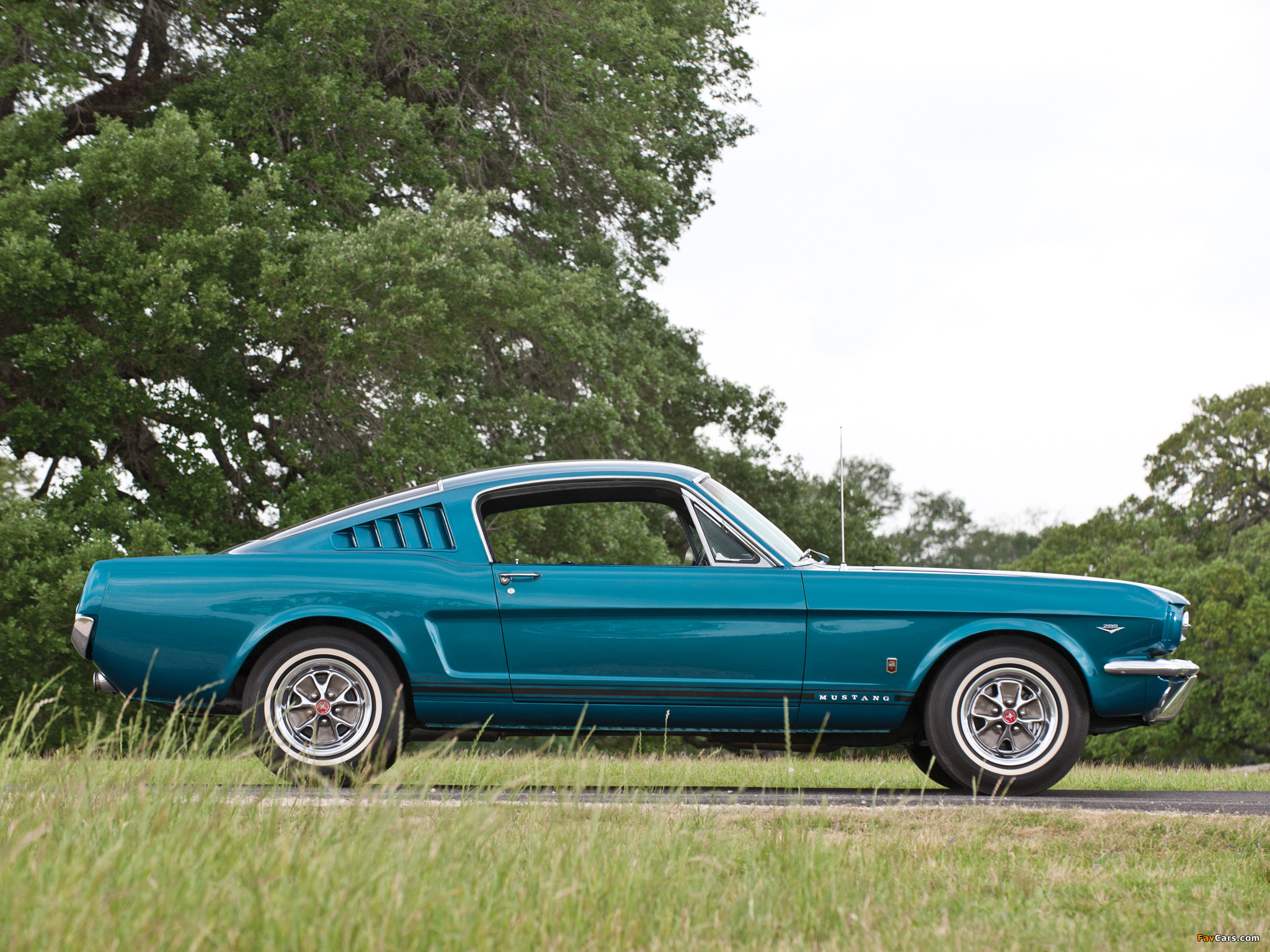 Pictures of Mustang GT Fastback 1965 (2048 x 1536)
