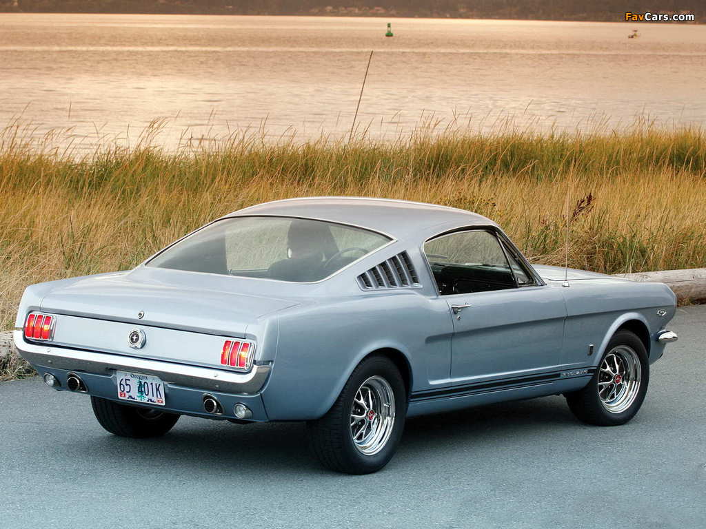 Pictures of Mustang GT Fastback 1965 (1024 x 768)