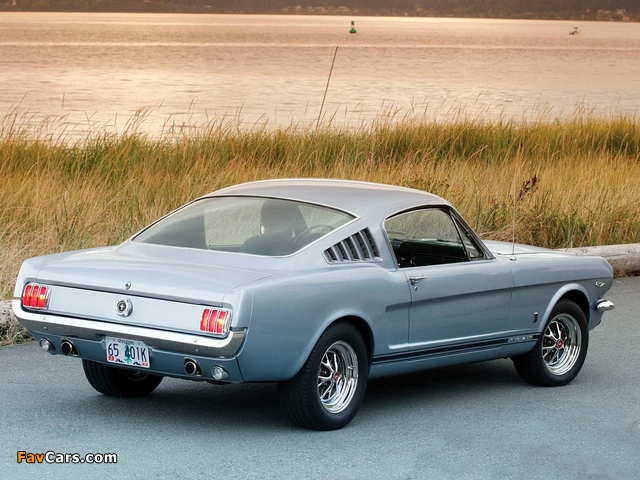 Pictures of Mustang GT Fastback 1965 (640 x 480)