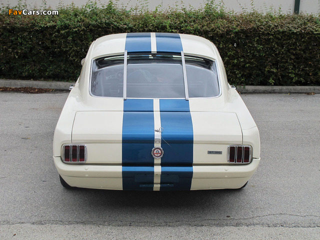 Pictures of Shelby GT350R 1966 (640 x 480)