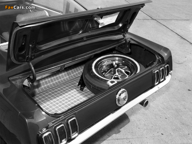 Pictures of Mustang GT Fastback 1966 (640 x 480)