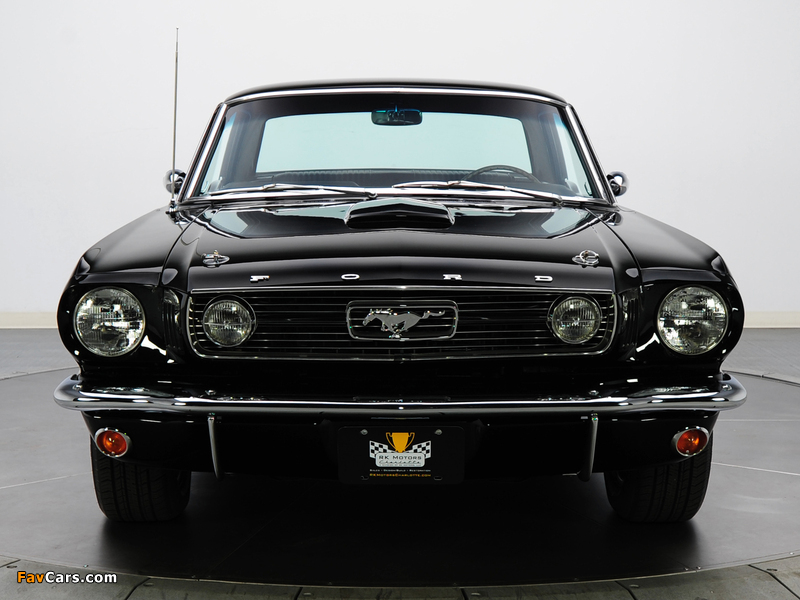 Pictures of Mustang GT Coupe 1966 (800 x 600)