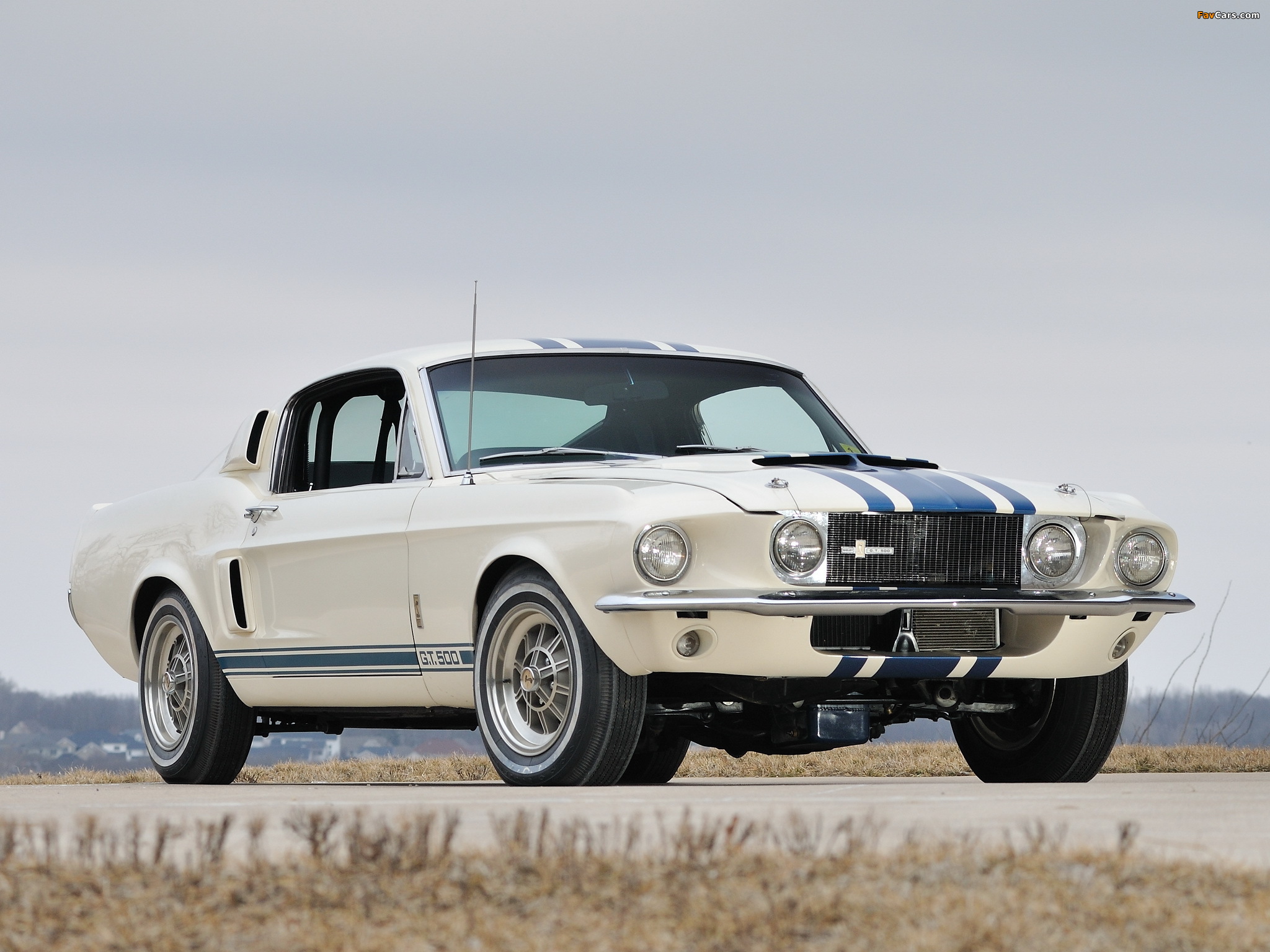 Pictures of Shelby GT500 Super Snake 1967 (2048 x 1536)