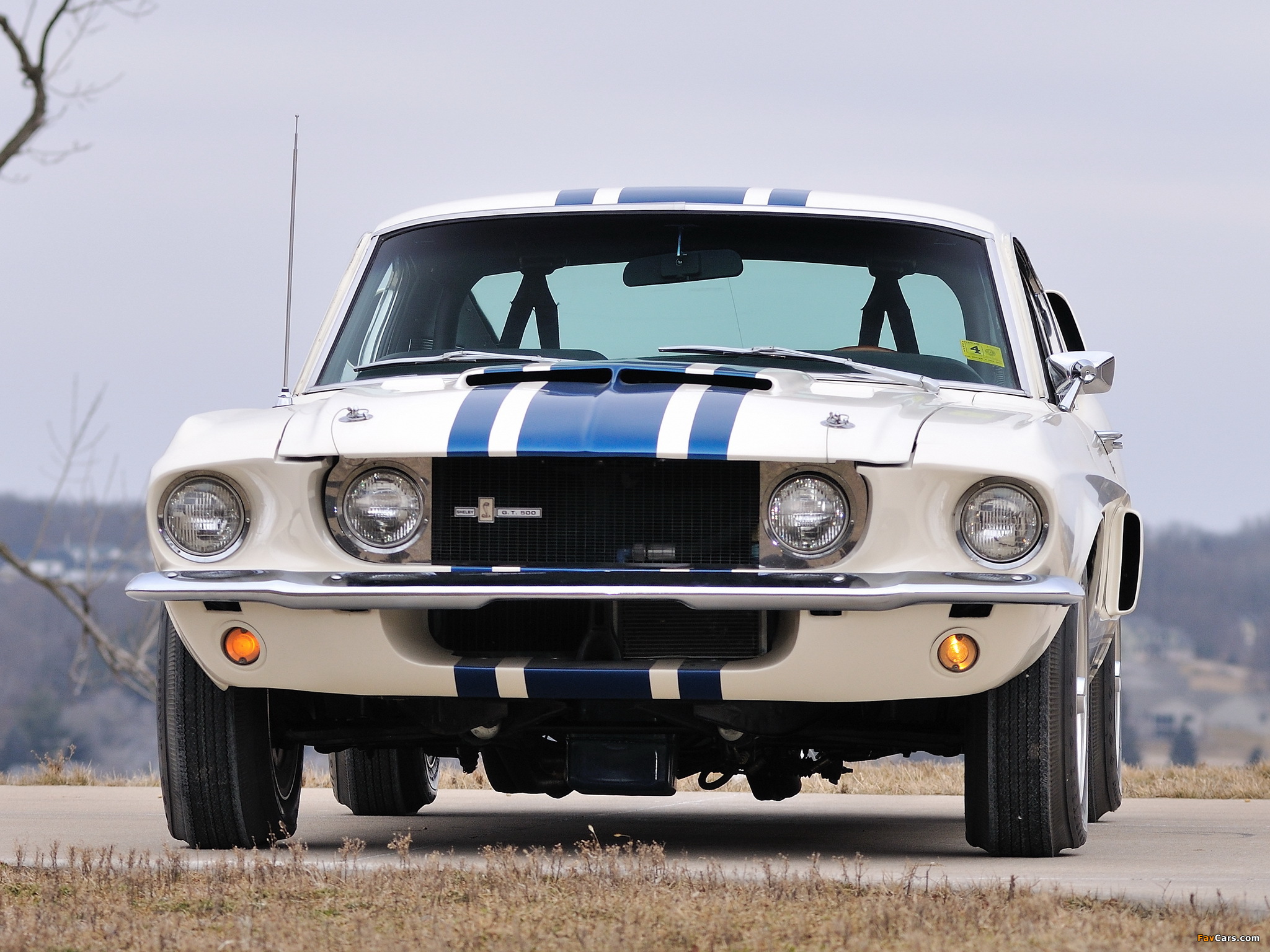 Pictures of Shelby GT500 Super Snake 1967 (2048 x 1536)