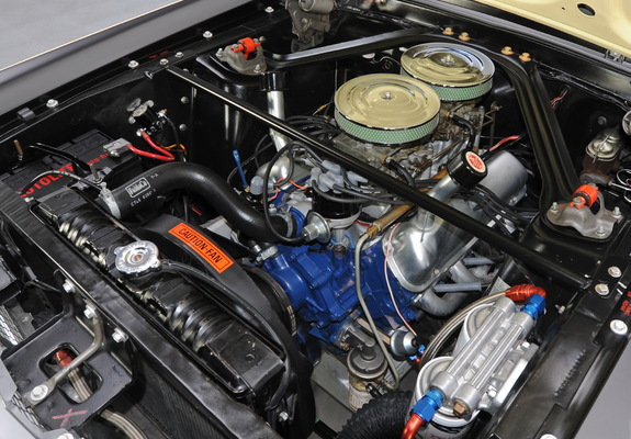 Pictures of Mustang Coupe Race Car (65B) 1967