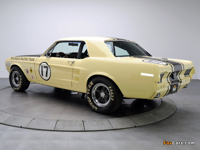 Pictures of Mustang Coupe Race Car (65B) 1967 (640 x 480)