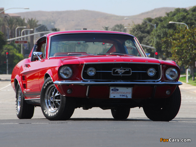 Pictures of Mustang GT-A 1967 (640 x 480)
