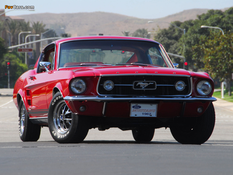 Pictures of Mustang GT-A 1967 (800 x 600)