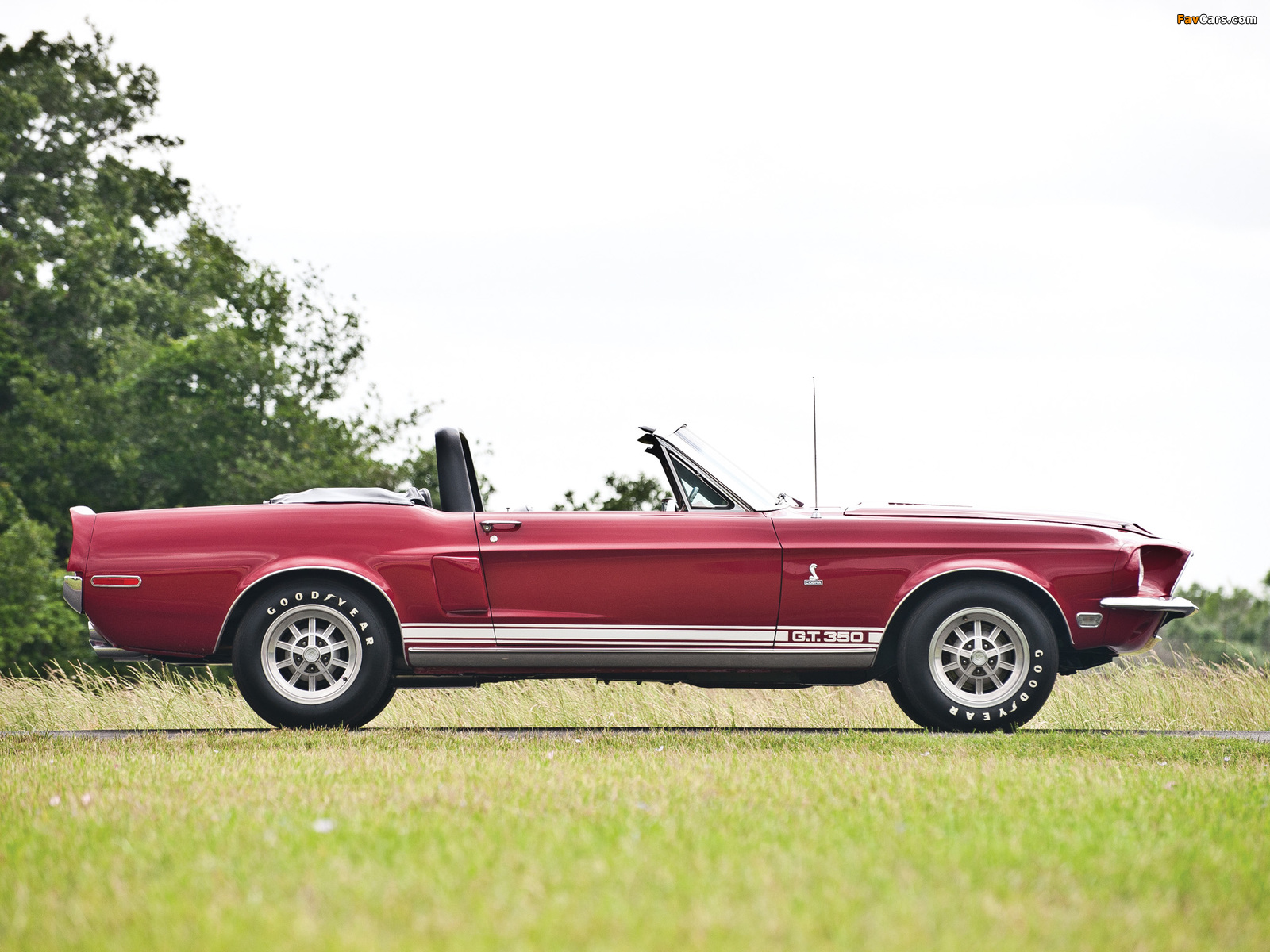 Pictures of Shelby GT350 Convertible 1968 (1600 x 1200)