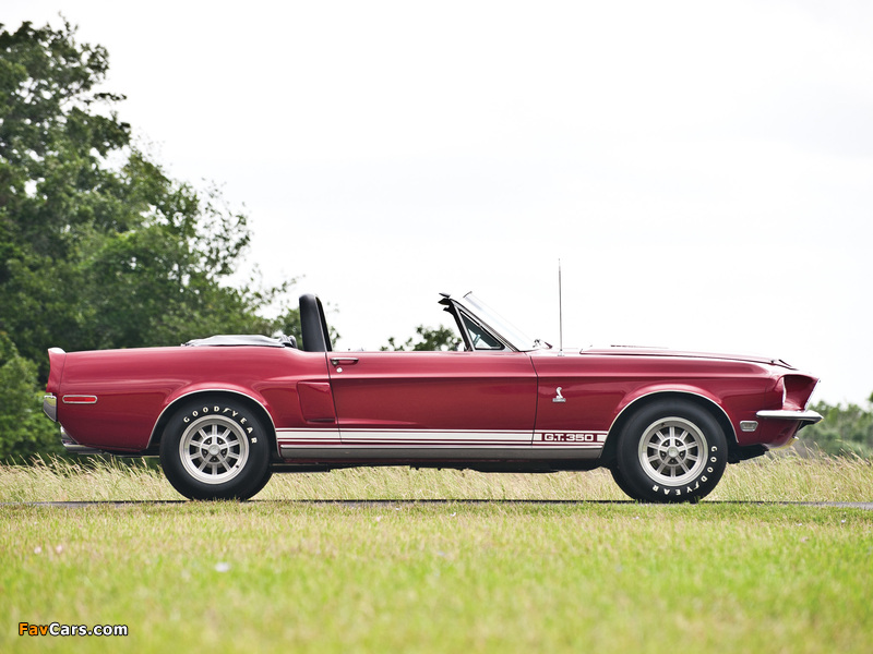 Pictures of Shelby GT350 Convertible 1968 (800 x 600)