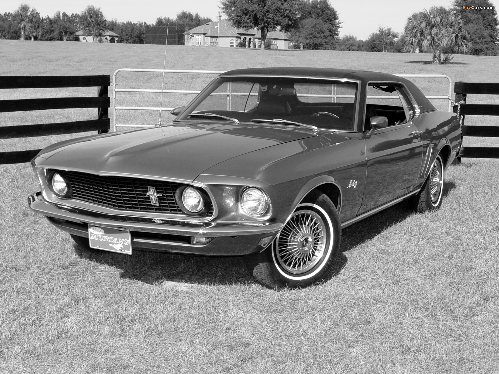 Pictures of Mustang Coupe 1969 (1600 x 1200)