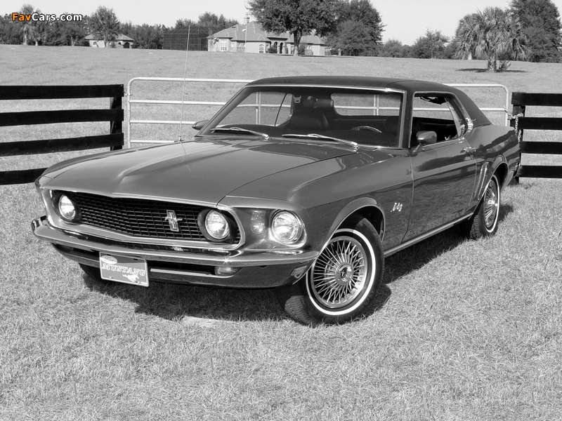 Pictures of Mustang Coupe 1969 (800 x 600)