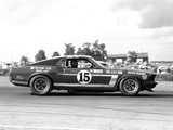 Pictures of Mustang Boss 302 Trans-Am Race Car 1969