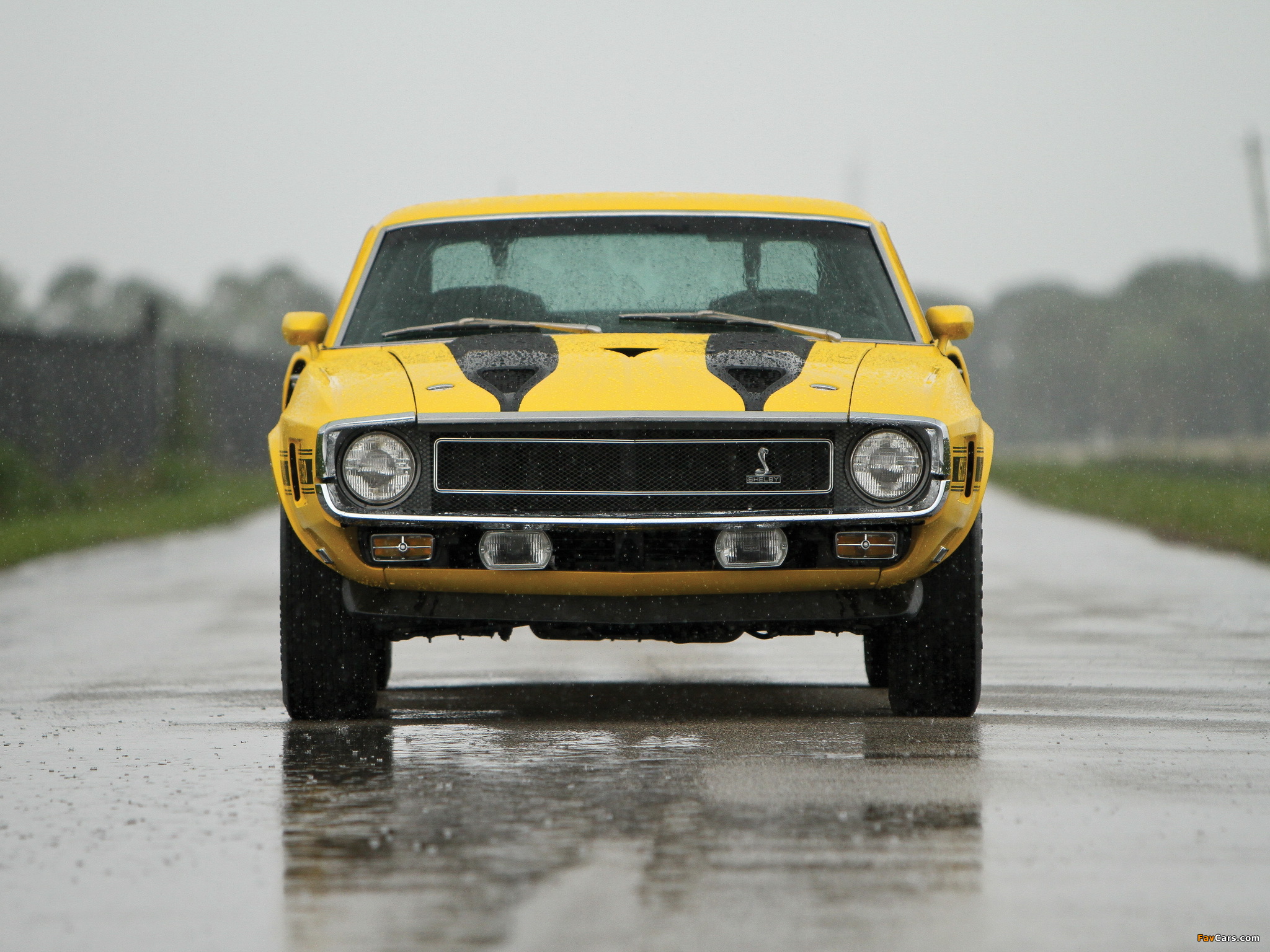 Pictures of Shelby GT350 1969–70 (2048 x 1536)