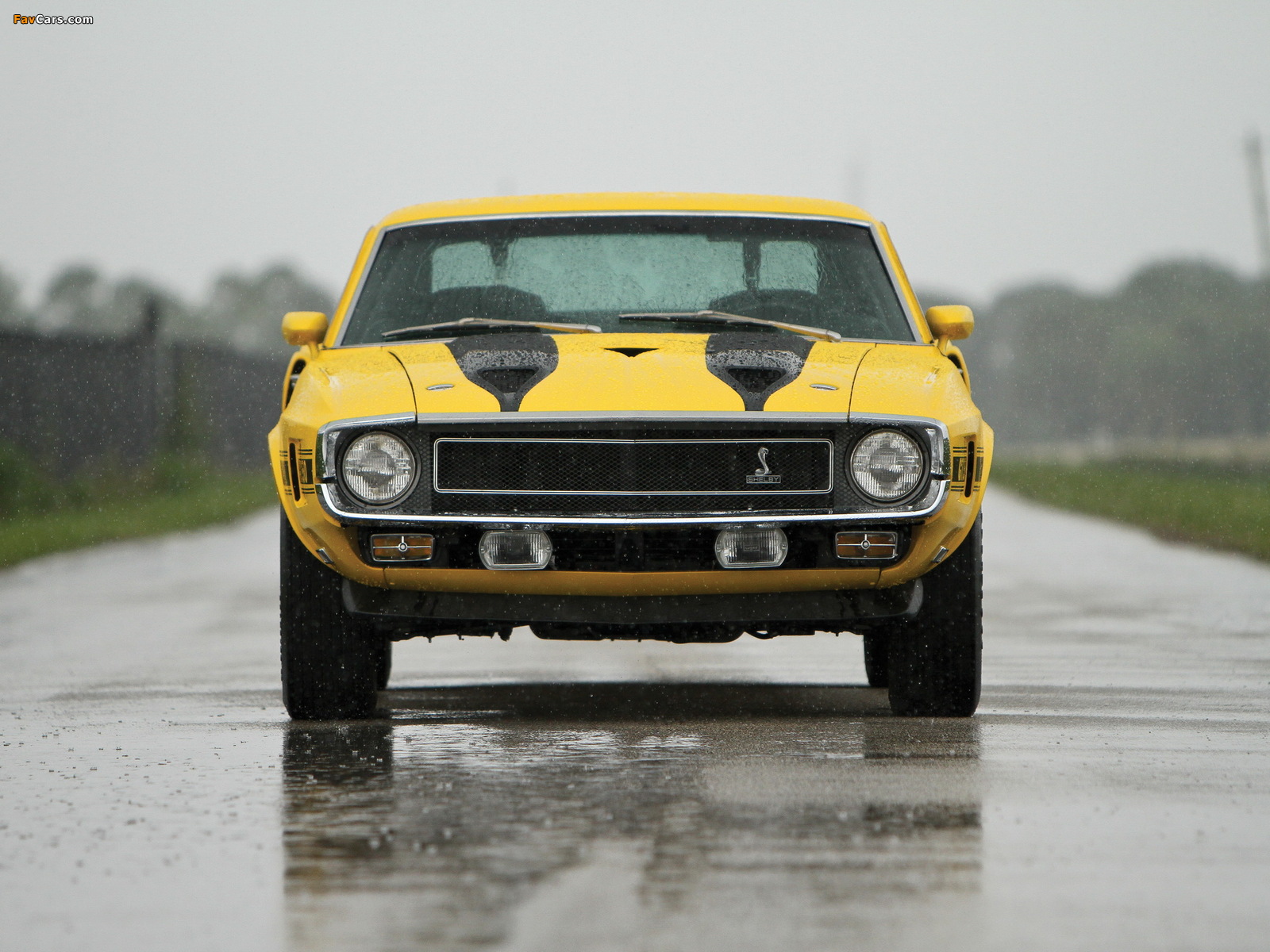 Pictures of Shelby GT350 1969–70 (1600 x 1200)