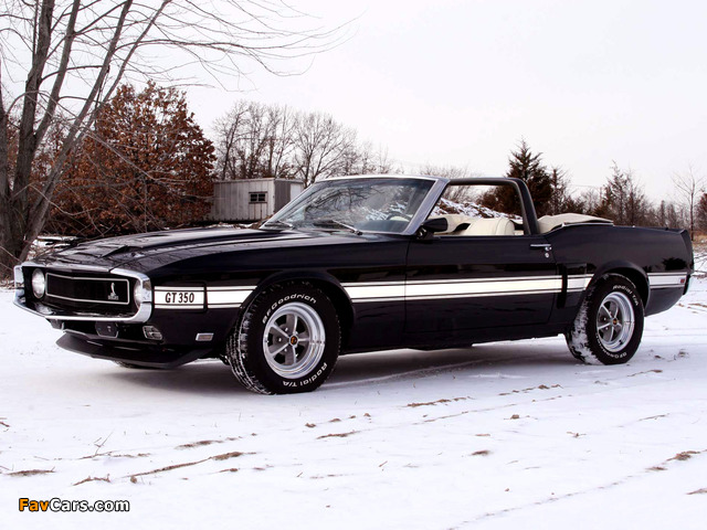 Pictures of Shelby GT350 Convertible 1969 (640 x 480)