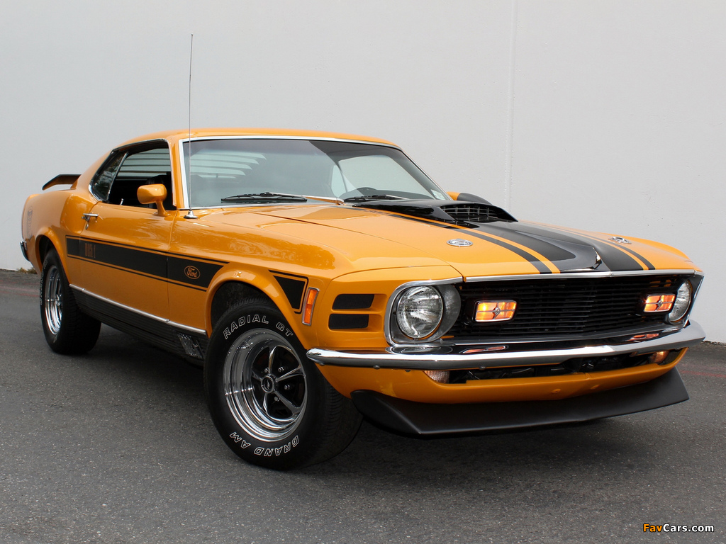 Pictures of Mustang Mach 1 Twister Special 1970 (1024 x 768)
