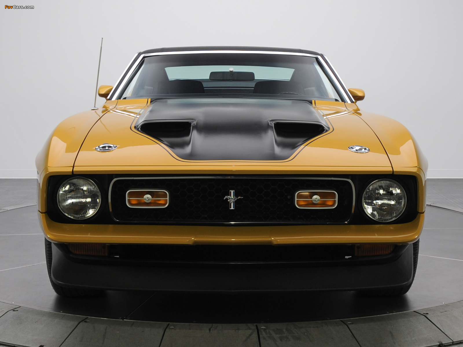 Pictures of Mustang Mach 1 1971–72 (1600 x 1200)