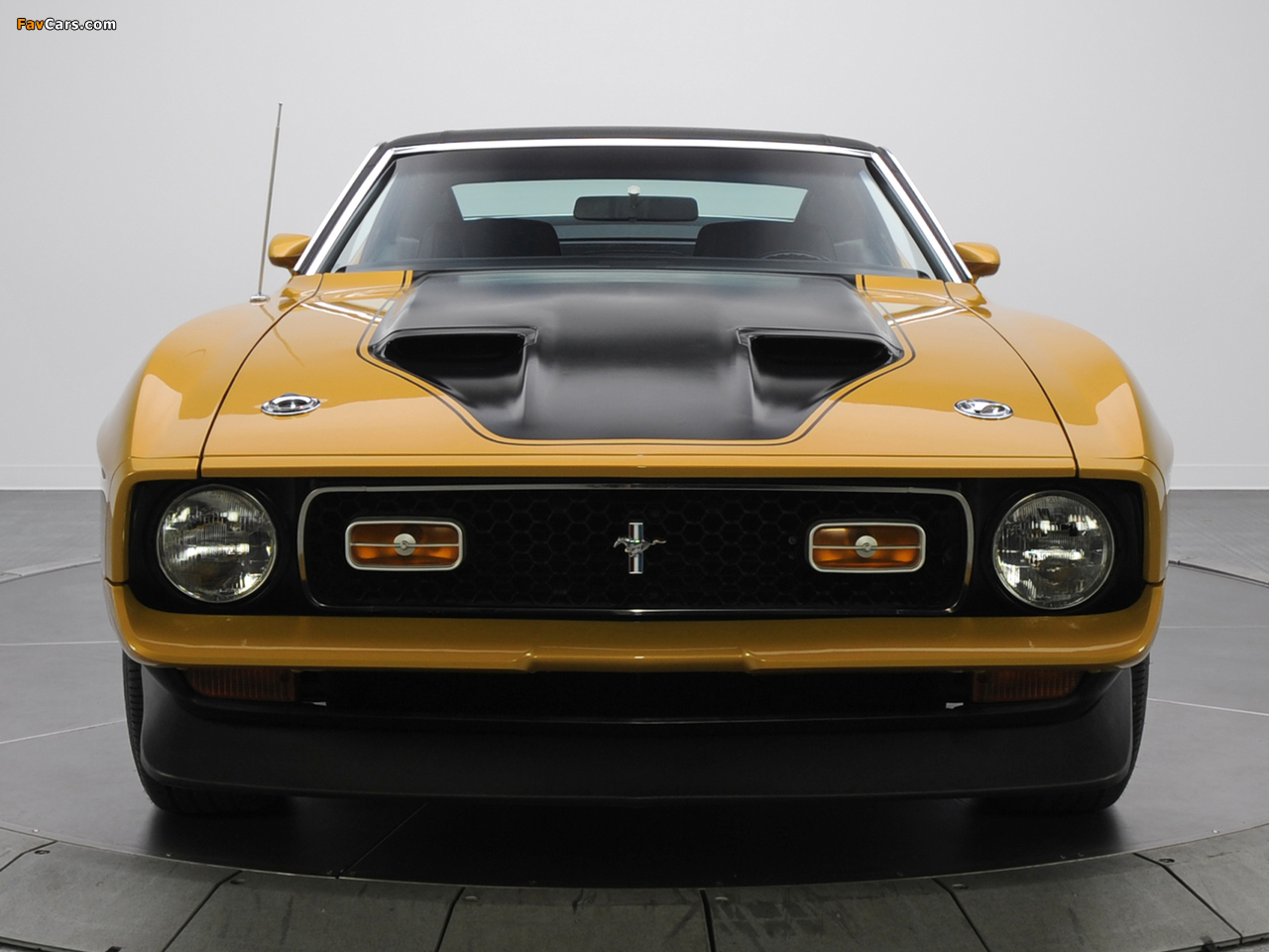 Pictures of Mustang Mach 1 1971–72 (1280 x 960)
