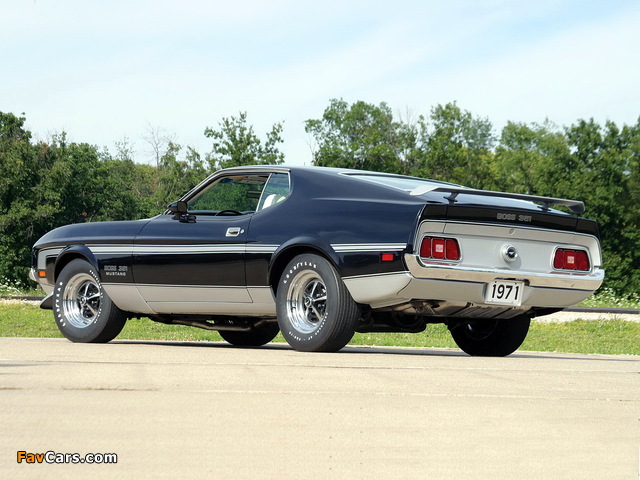 Pictures of Mustang Boss 351 1971 (640 x 480)