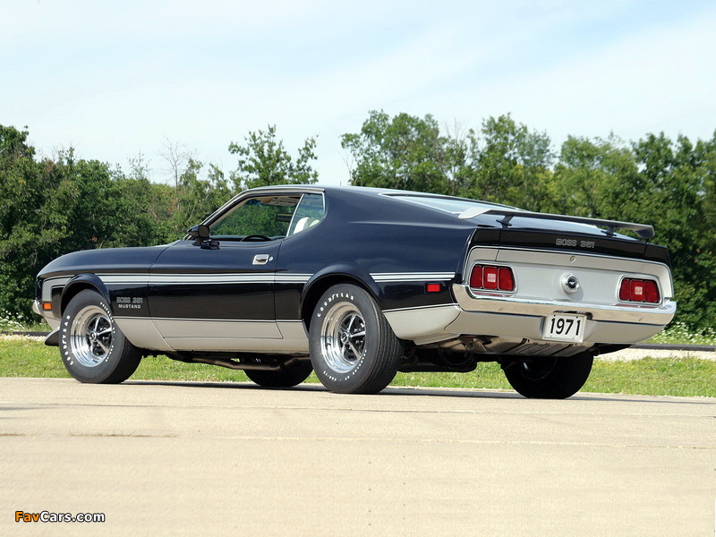 Pictures of Mustang Boss 351 1971 (800 x 600)