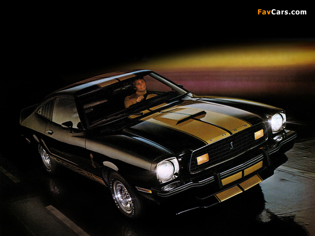 Pictures of Mustang Cobra II 1977 (640 x 480)