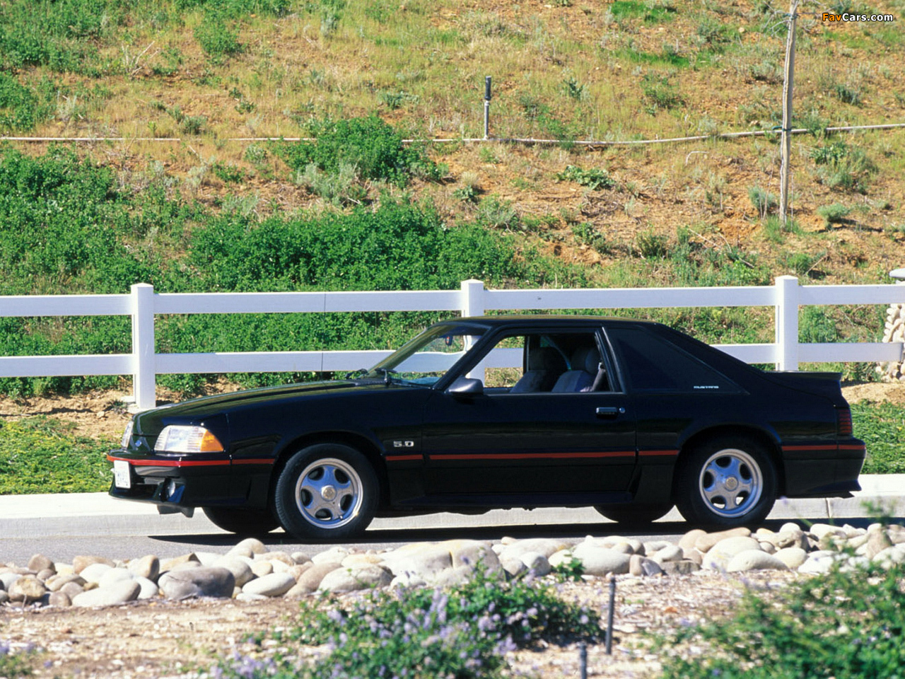 Pictures of Mustang GT 5.0 1987–93 (1280 x 960)